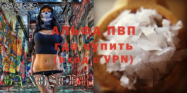 гидра Вяземский
