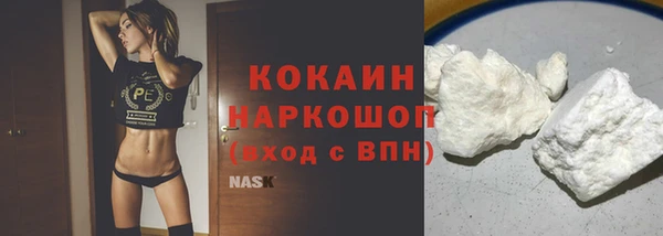 ешки Горняк