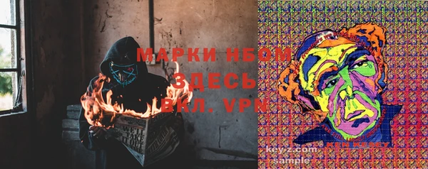 ешки Горняк